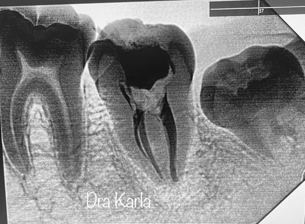 Karla Rocio Hernández Salazar-5