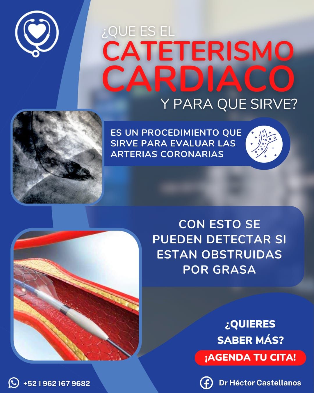 Hector Manuel Castellanos Villagran-4