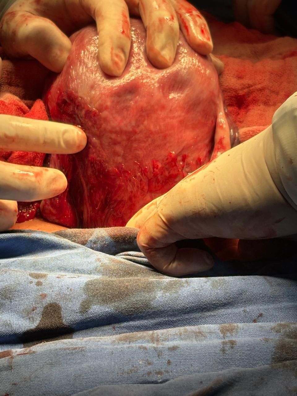 Oscar Arturo Barrios Hernández-11