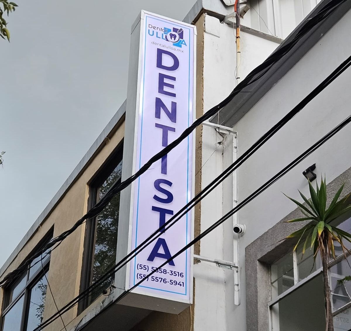 María Fernanda Ruíz Moreno-1