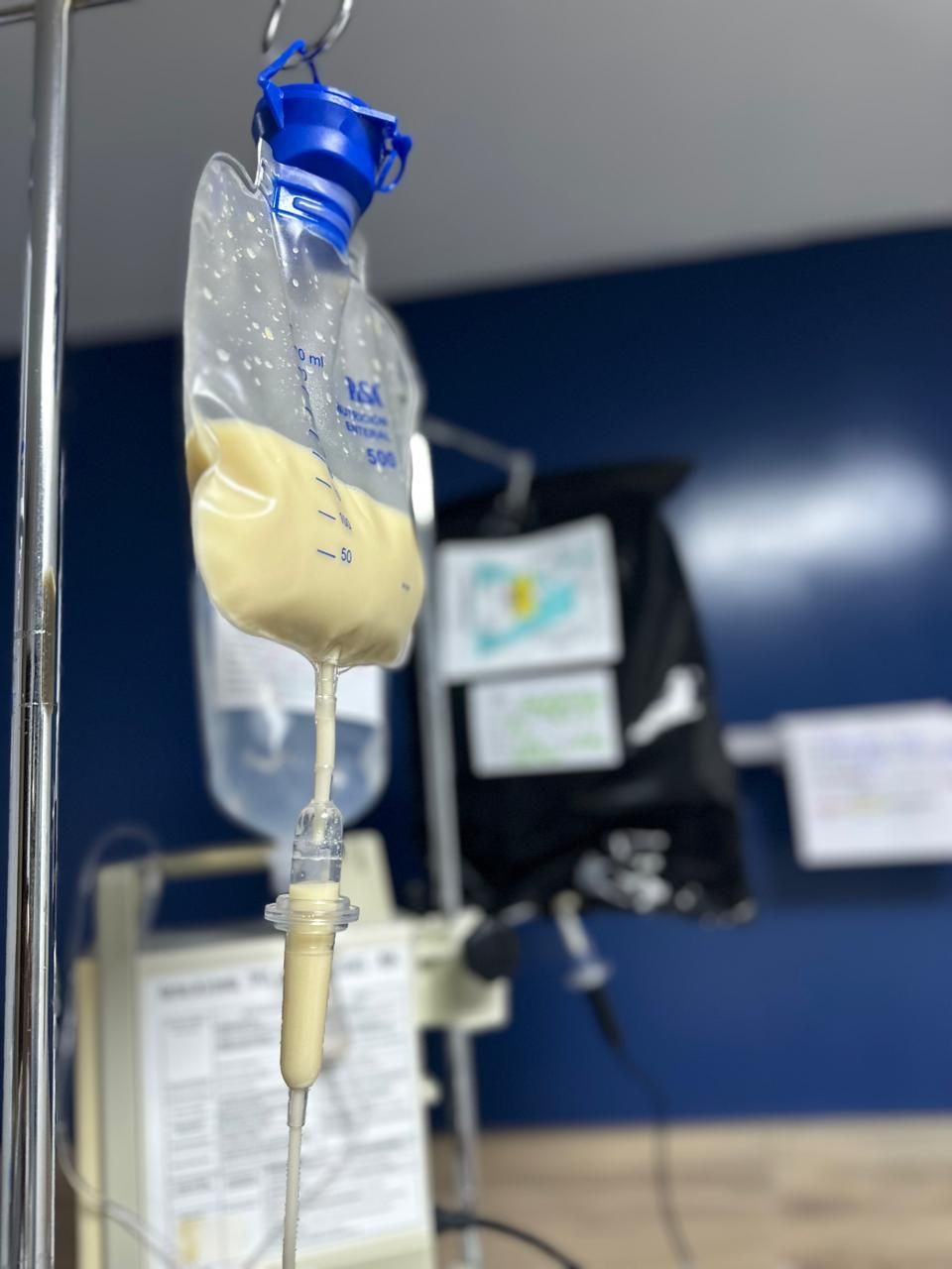 Daniela Bautista Solórzano-3