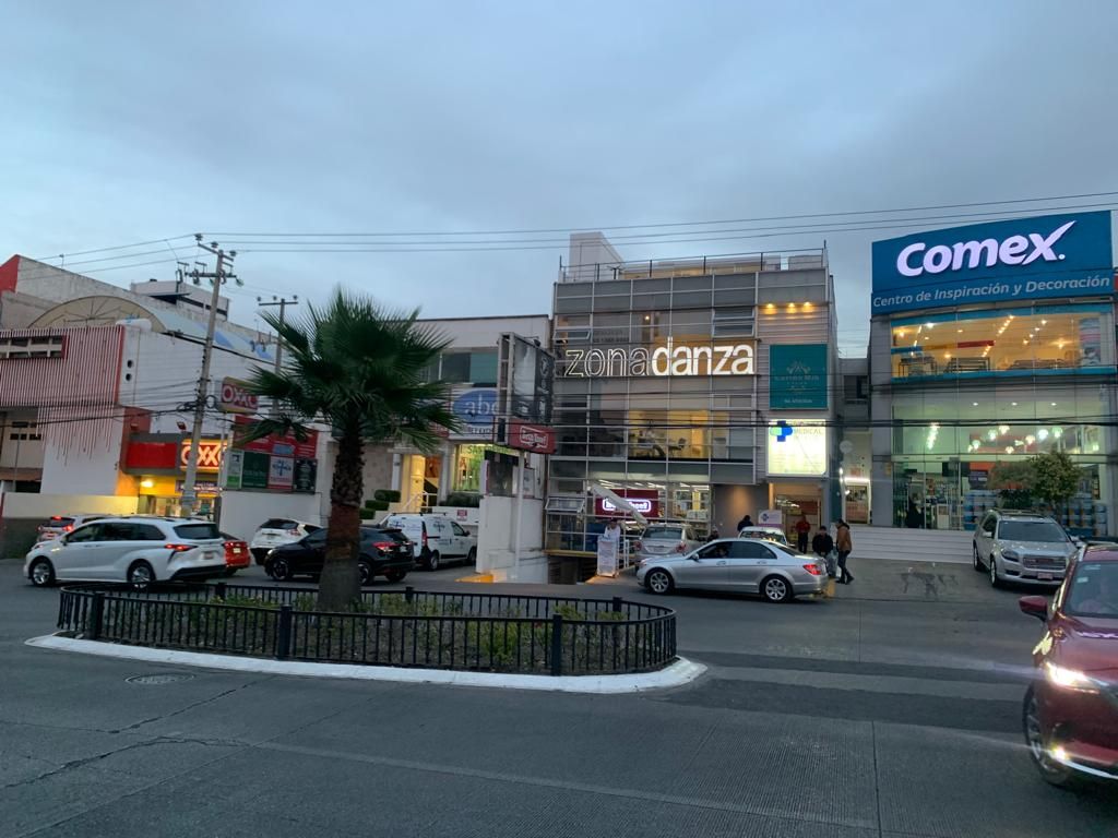 Alicia Chami Shamosh-10