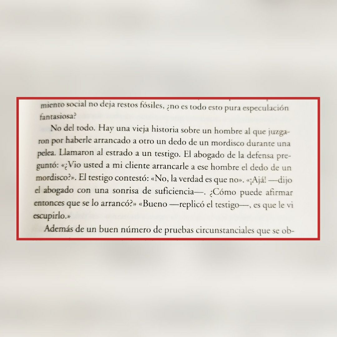 Cecilia Pingarrón-11