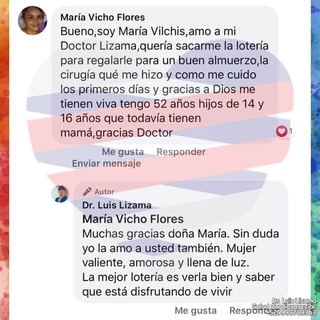 Luis Daniel Lizama Rodrí­guez-18