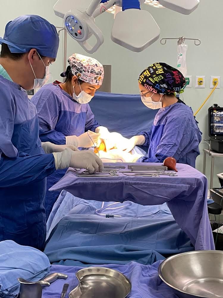 Sahira Toledo Aviles-8