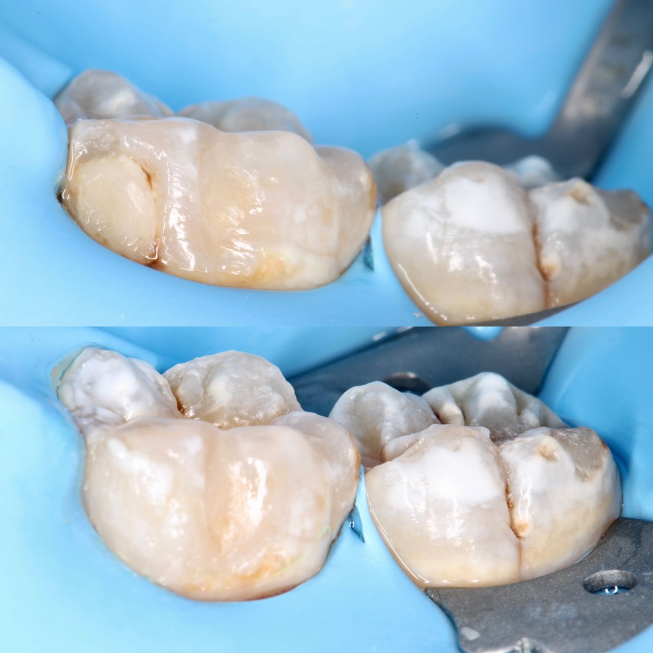 Dania Nohemi López Salcido-0