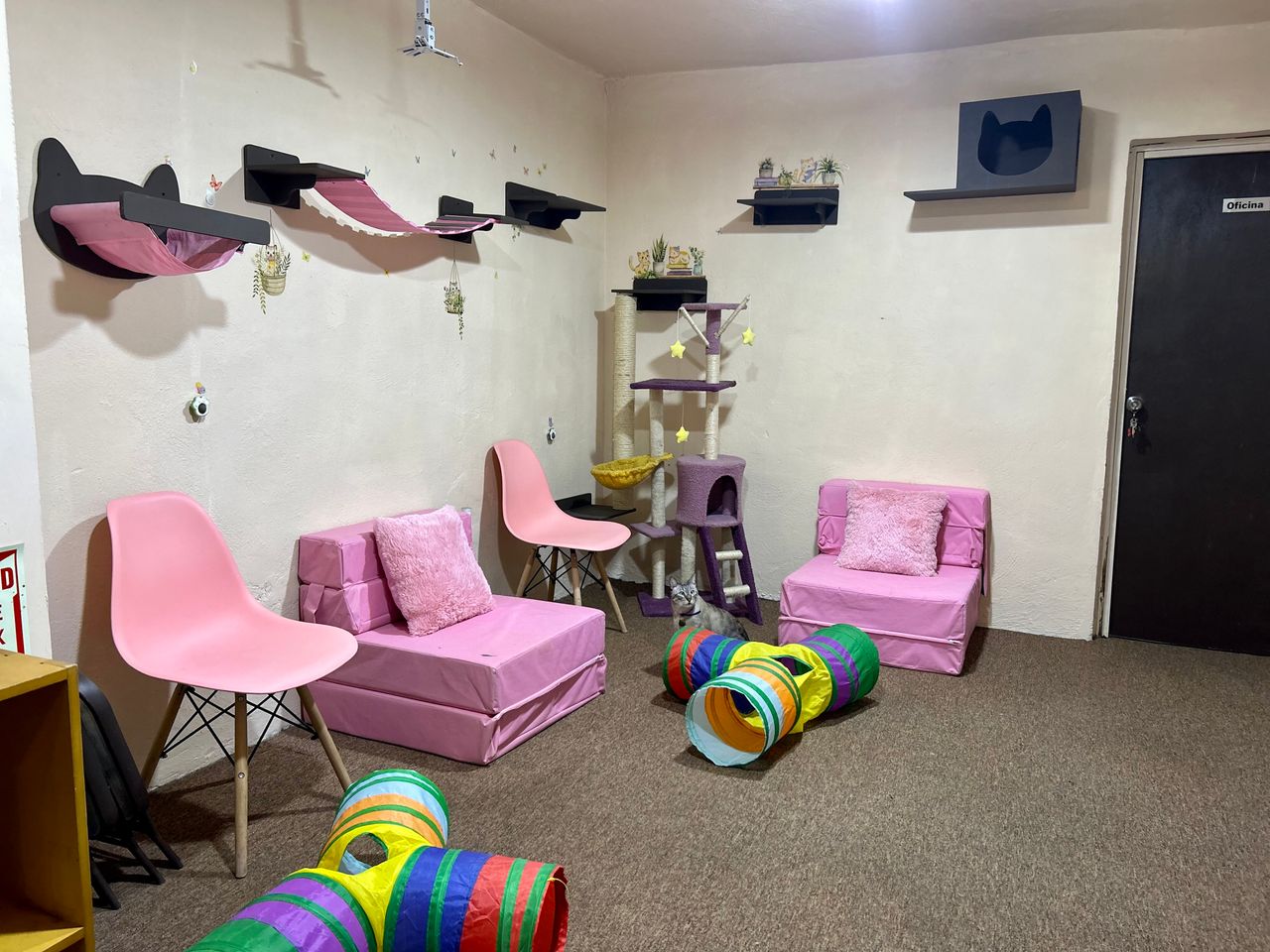 Jhoana Mendoza Larios-20