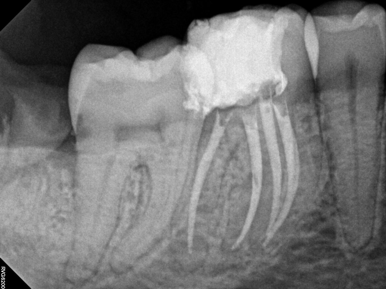 Andrea Torres Peña-1