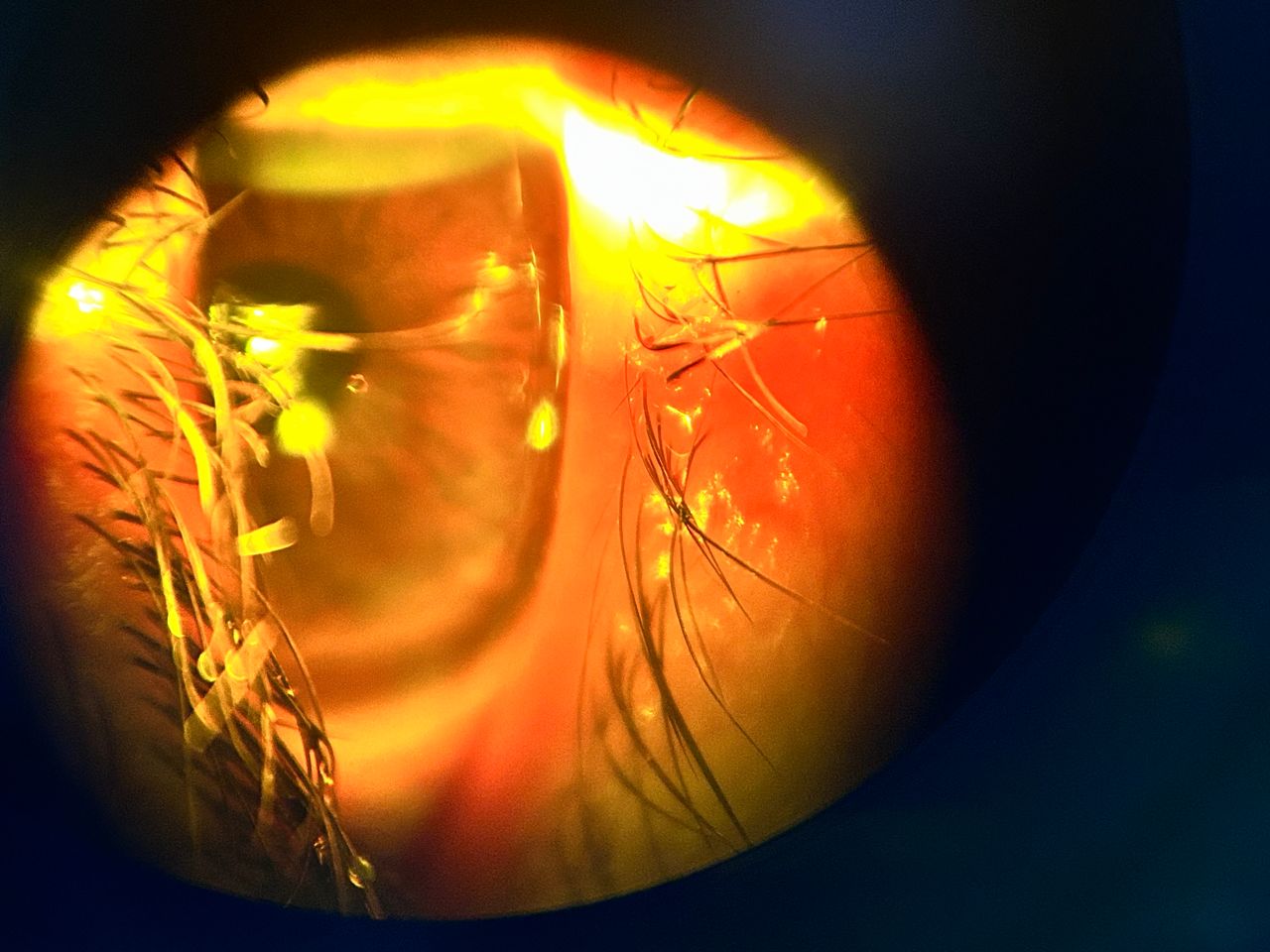 Daniel Martin Laguna Muñoz-10