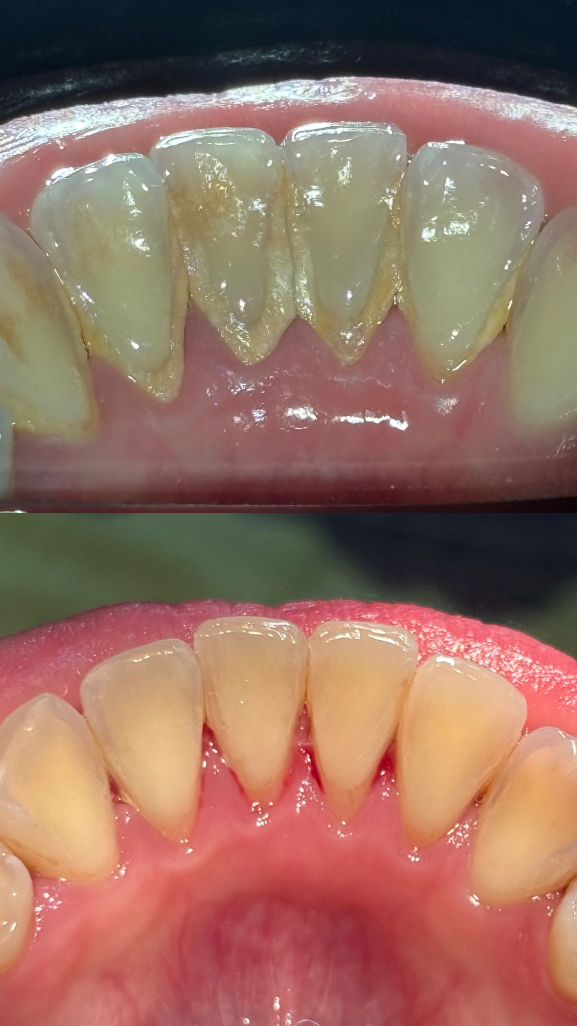 María Paula  Flores Novoa-79