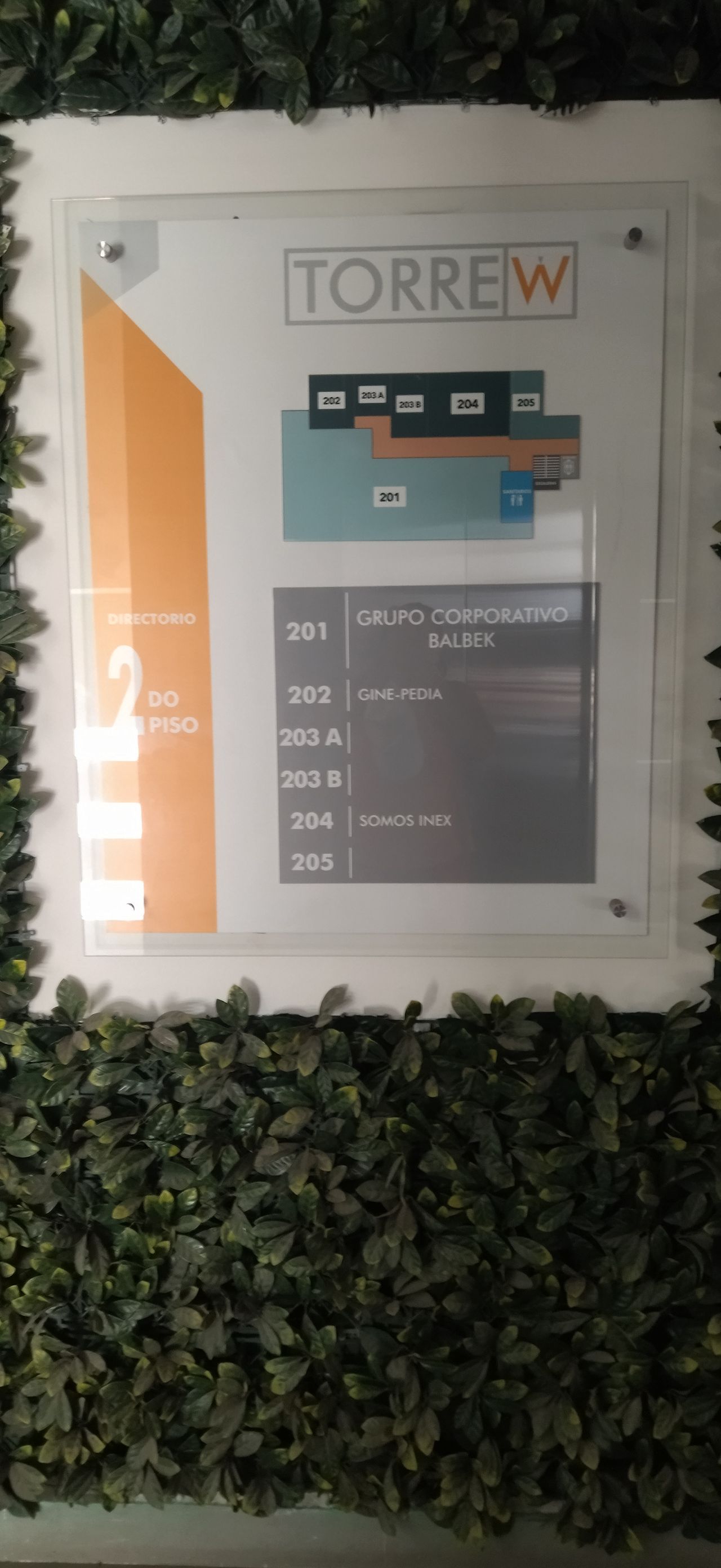 Cintia Ordóñez Pliego-3