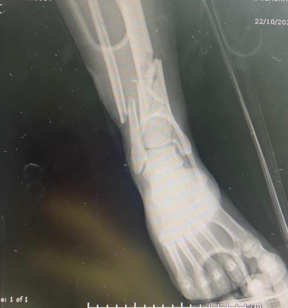 Emmanuel Bolaños Cortes-10