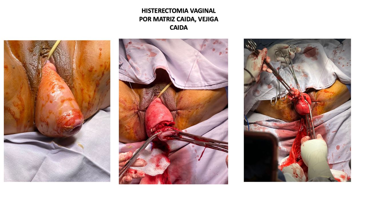 Atieel Flores Morales-6