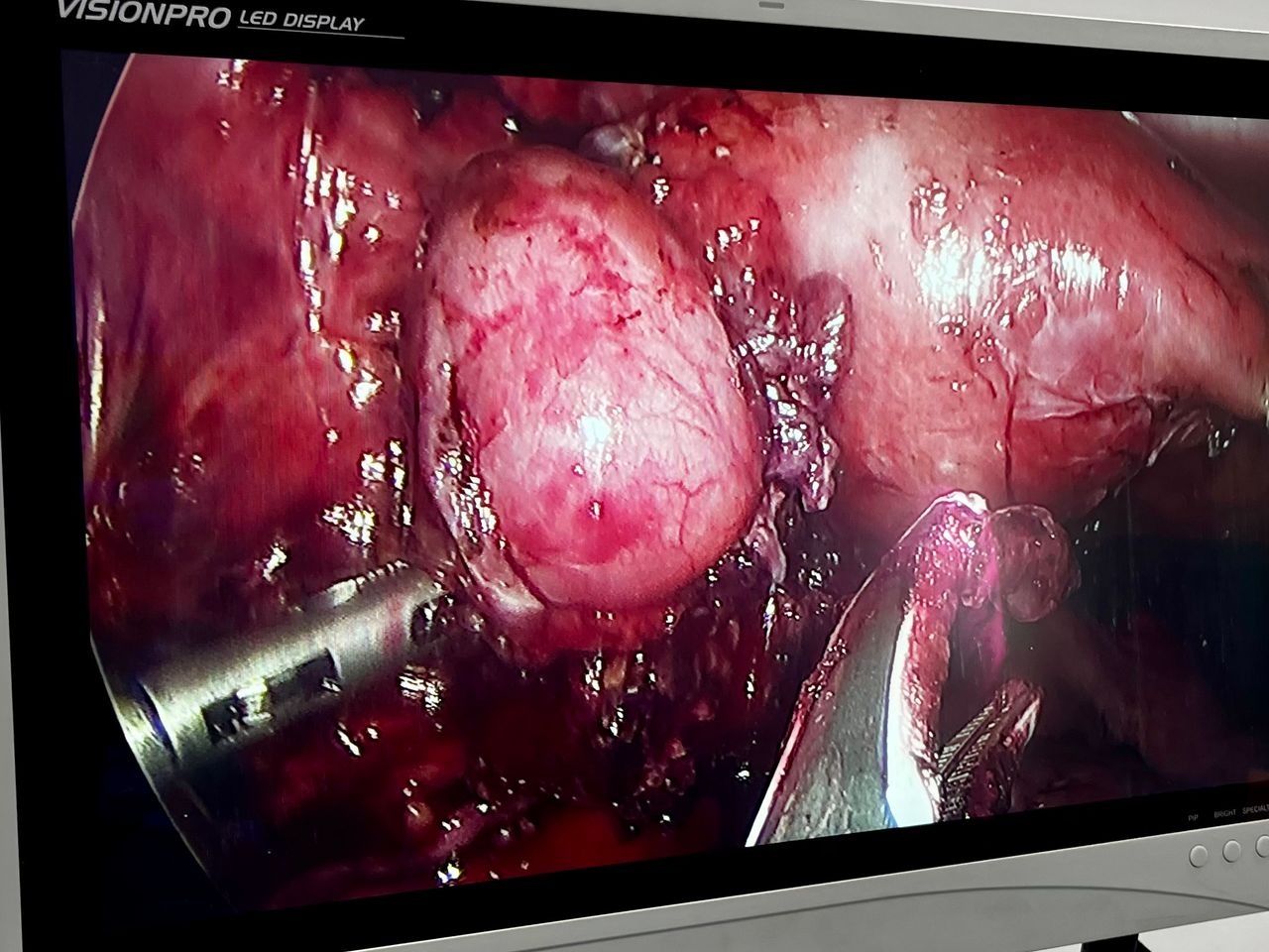 Rogelio Hernández García-25