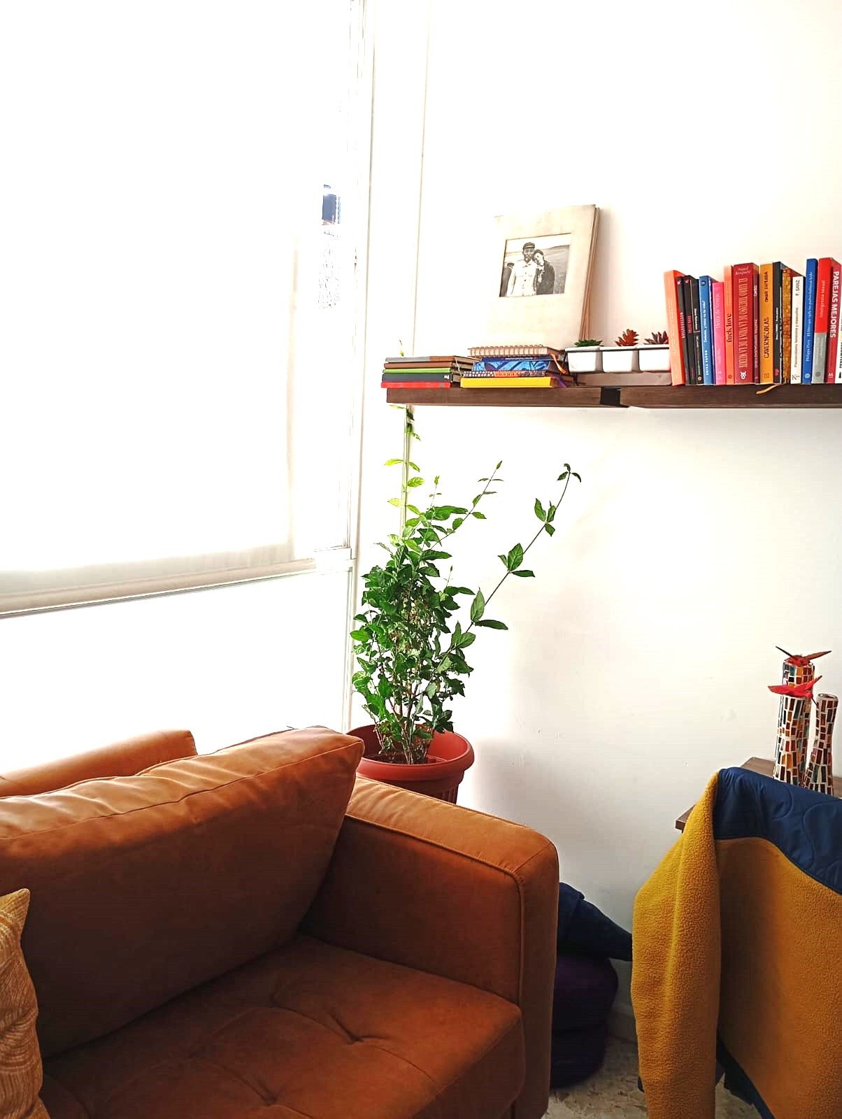 Cecilia Pingarrón-2