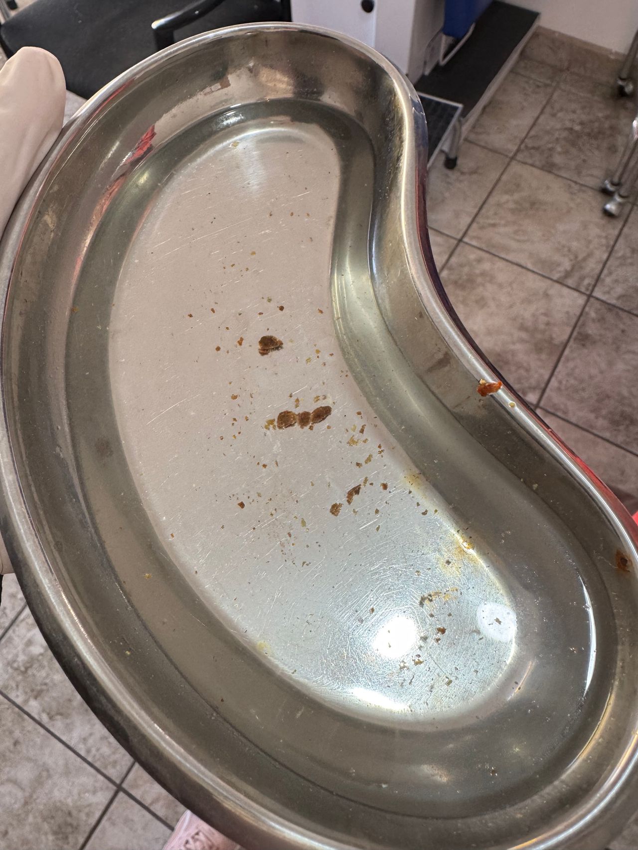 Paola Sofia Fregozo Mendez-1