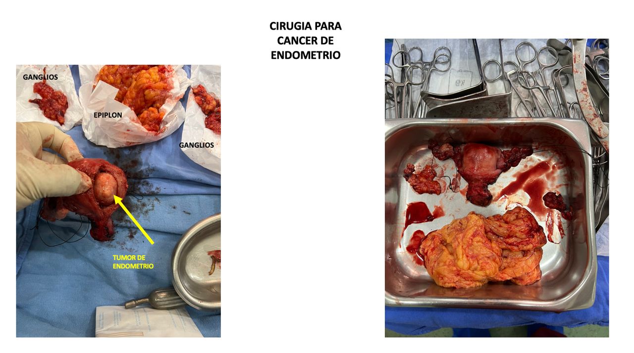 Atieel Flores Morales-4