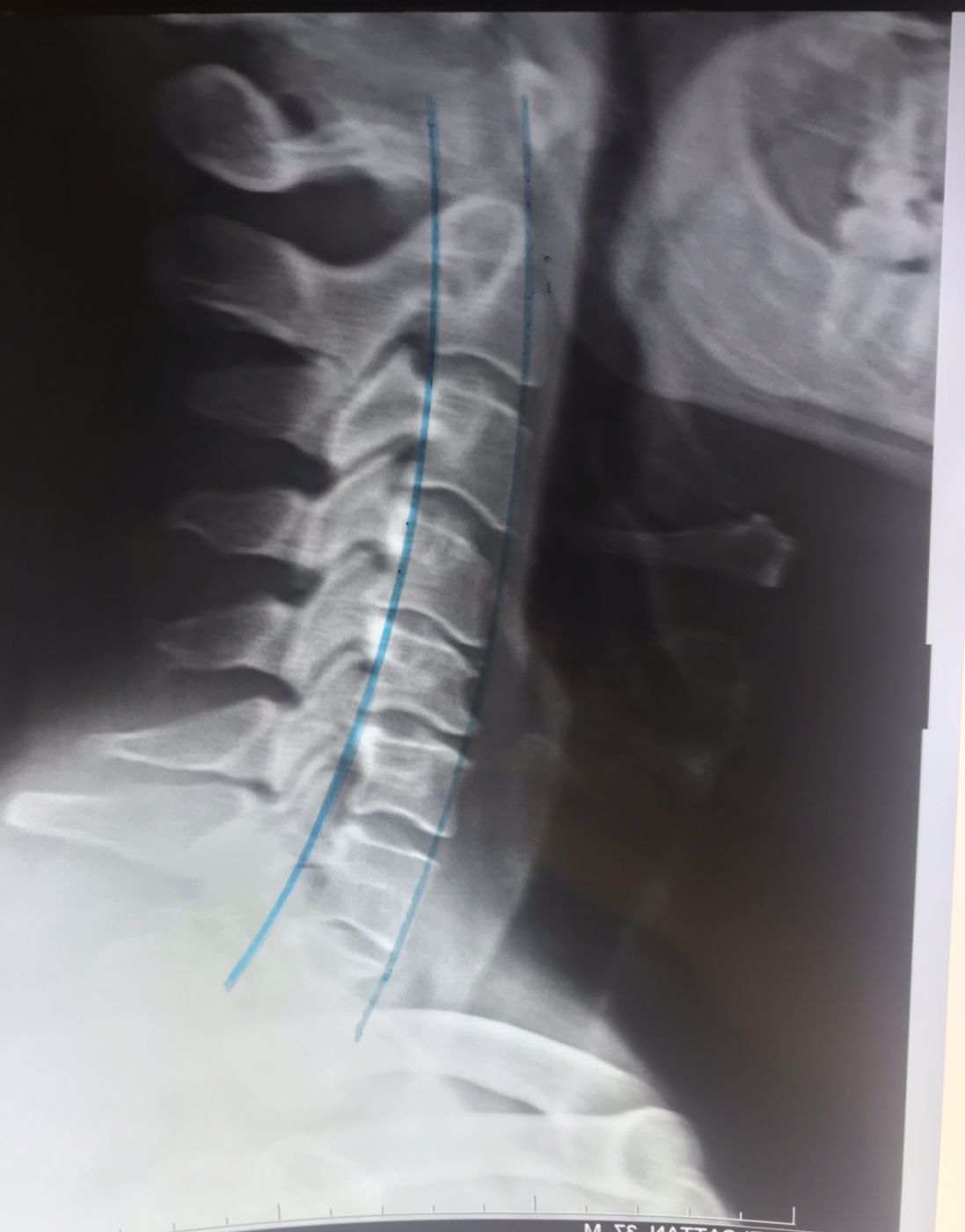 Jorge Segall Bessudo-5