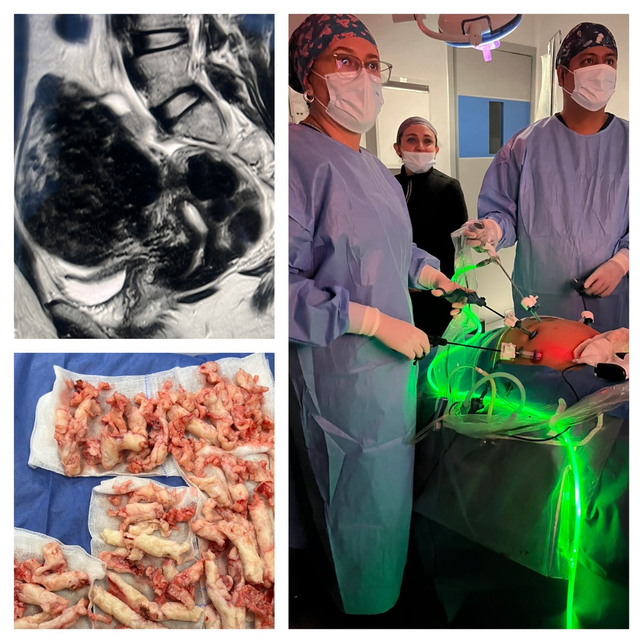 Renata Madrid Zavala-26