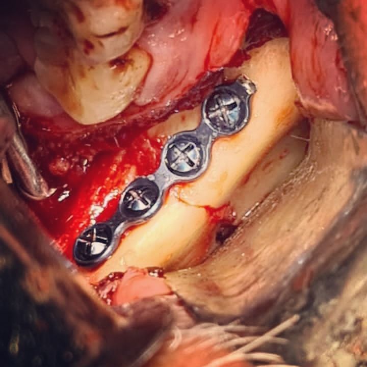 Carlos David Aragon Kuri-4