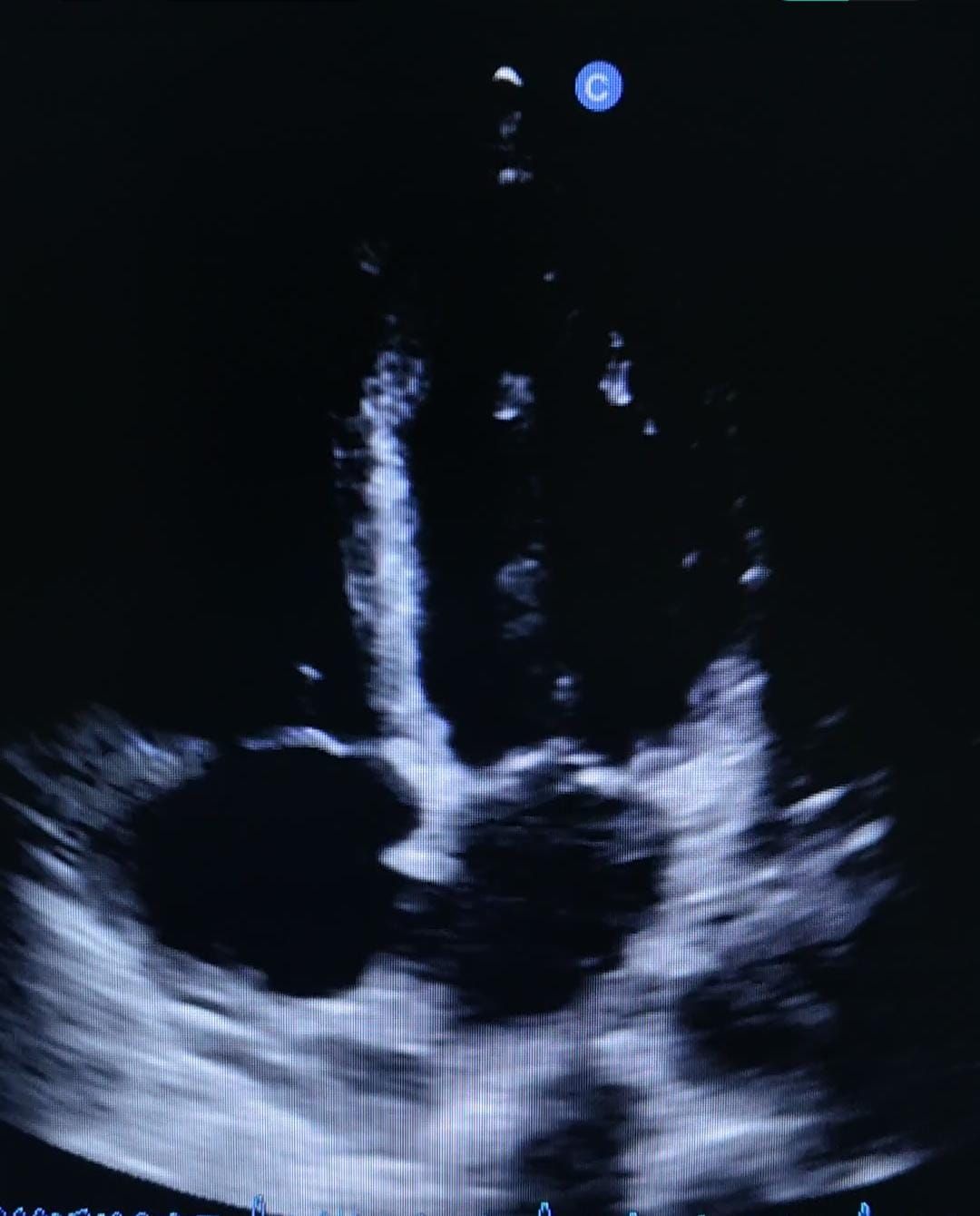 Gerardo Reyes Velázquez-8