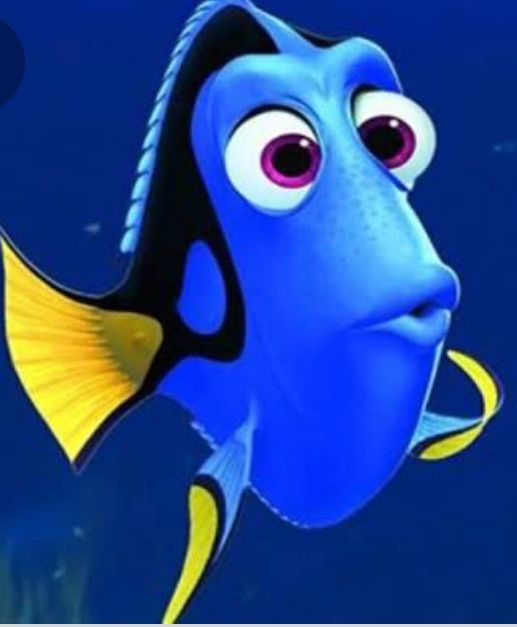 Karelyn Morales Arroyo-7