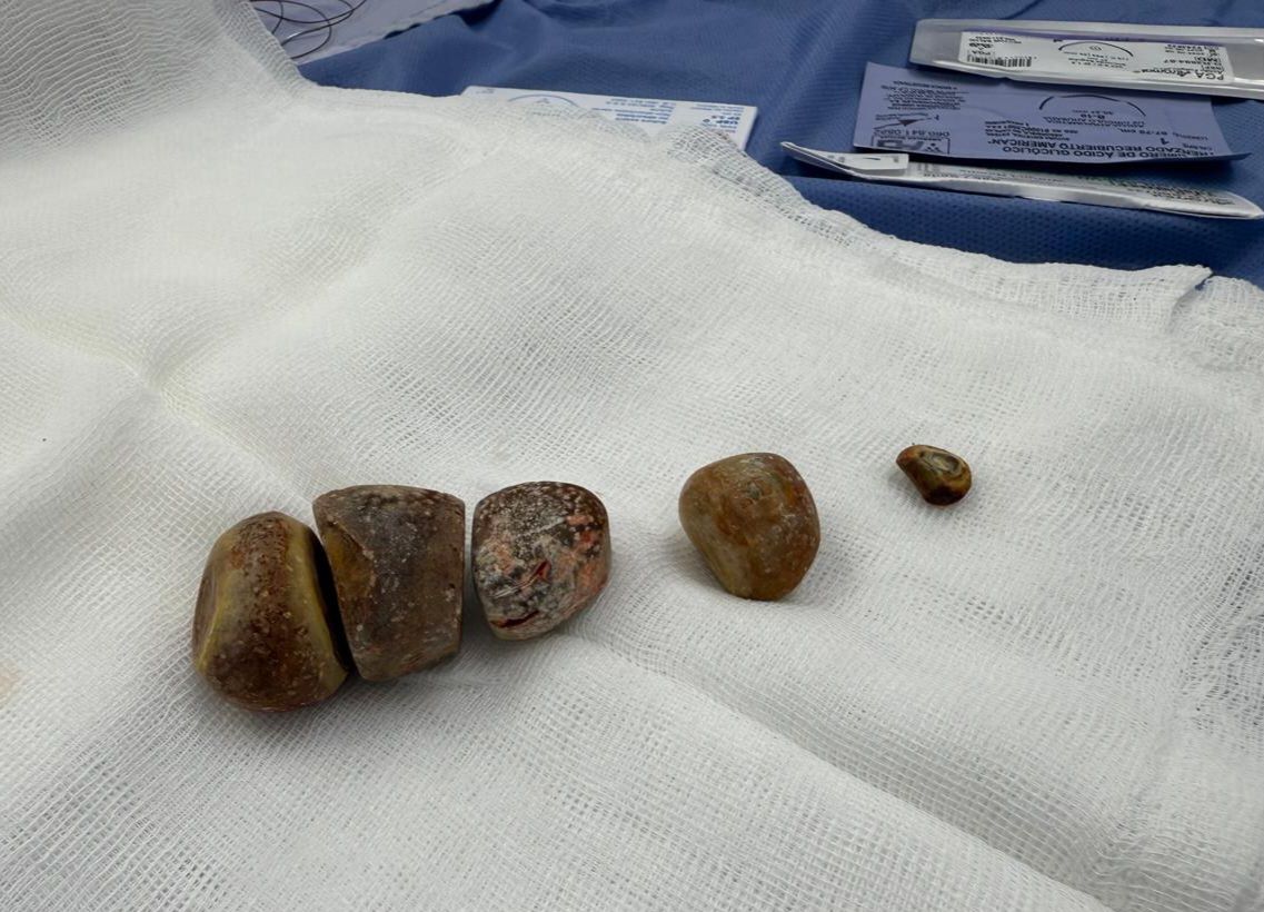 Jose Abraham Sauceda Ramirez-1