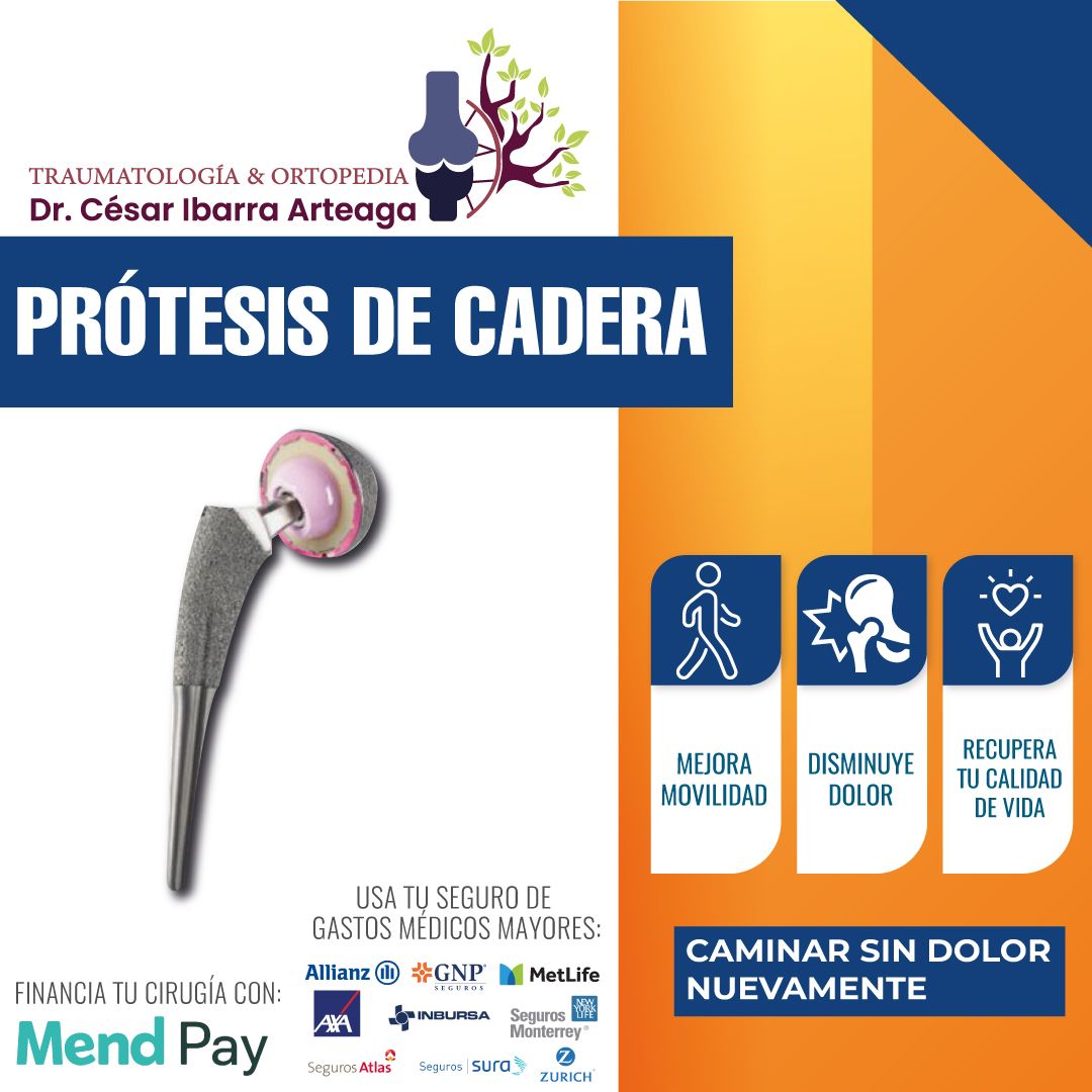 César Ibarra Arteaga-4