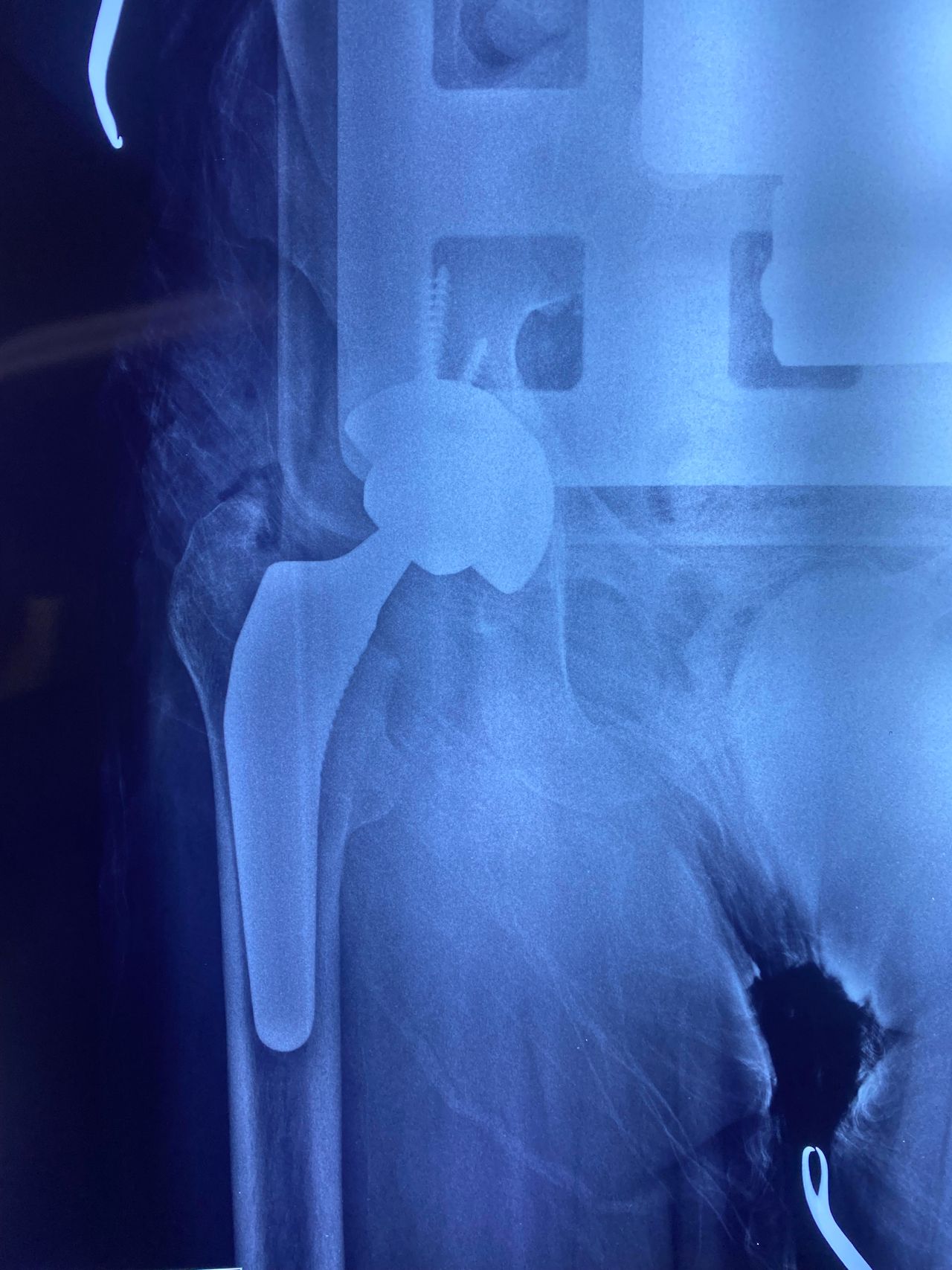 Pablo Aguilar Gorostieta-5