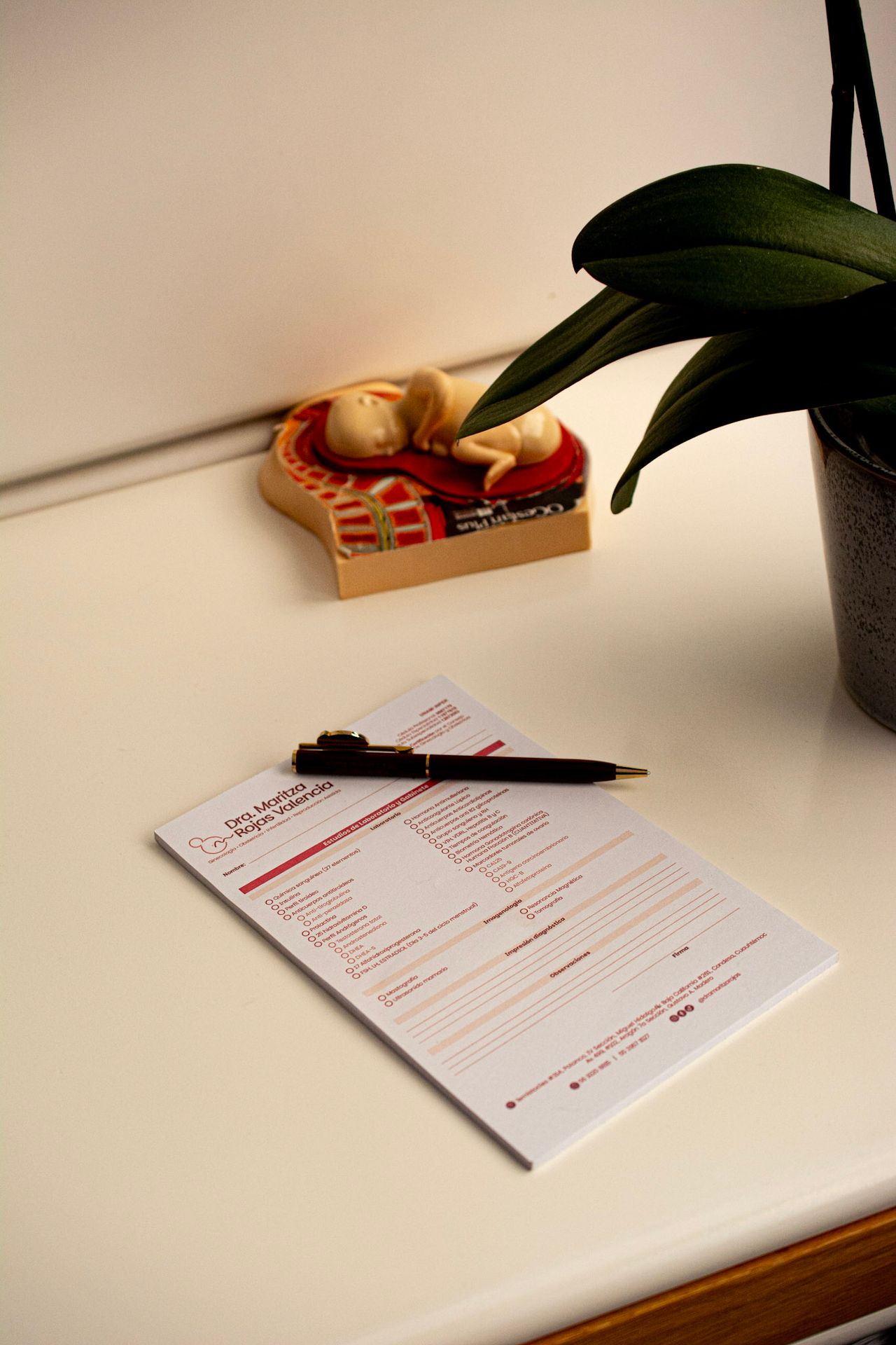 Maritza Ivett Rojas Valencia-0