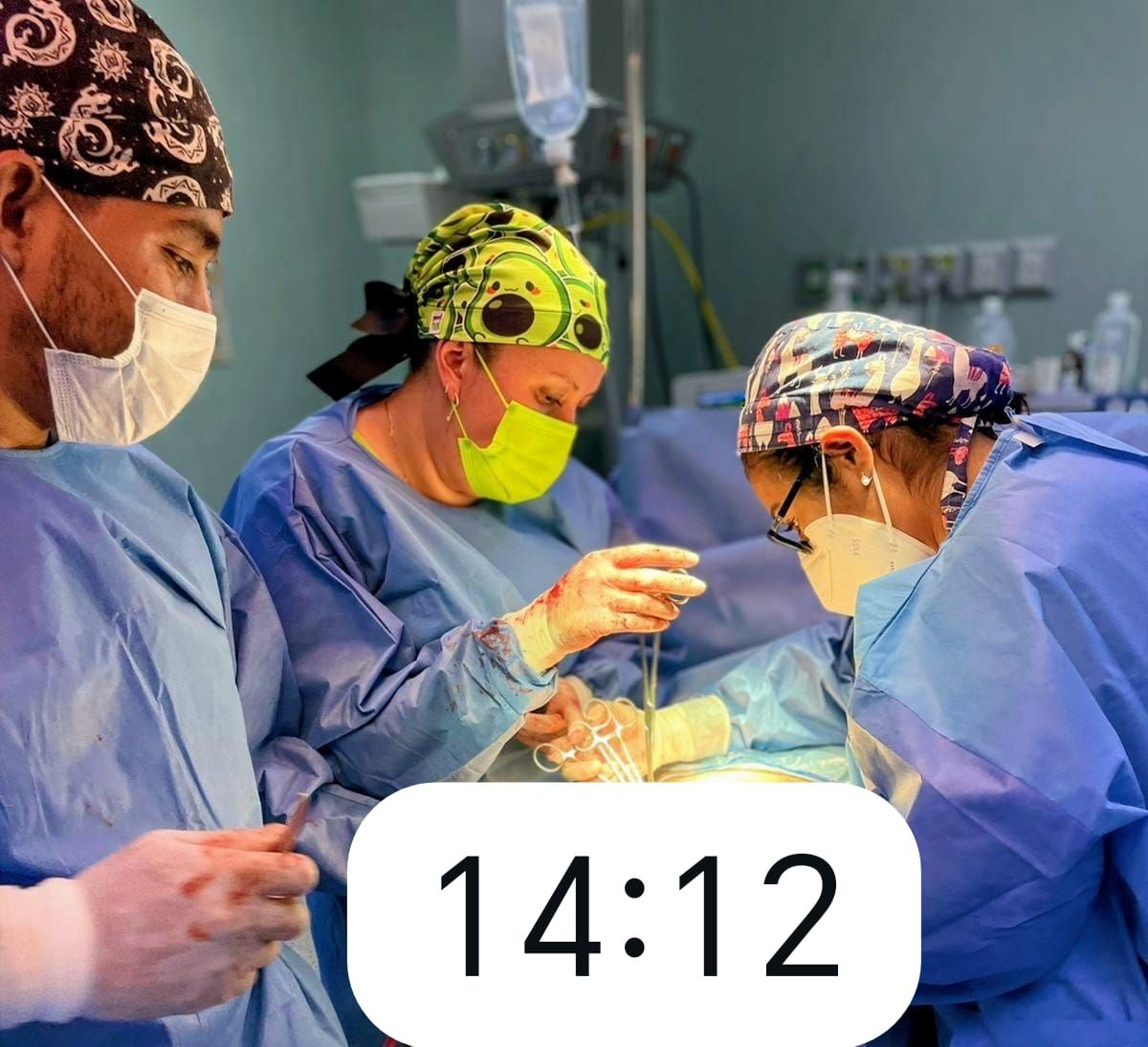 Elizabeth Gil López-2