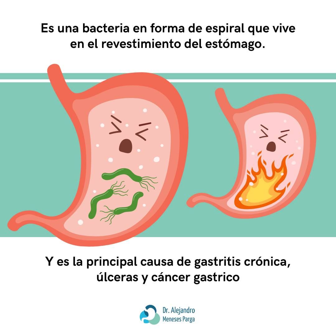 Alejandro Meneses Parga-40