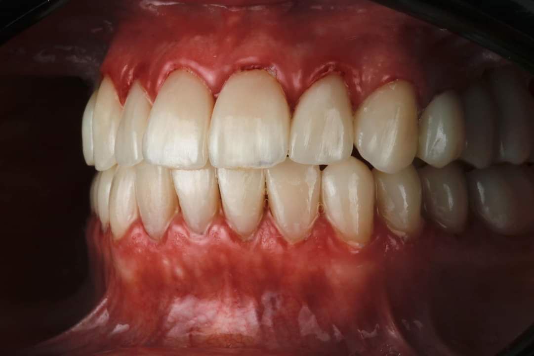 Fernanda Abreu Ochoa-15