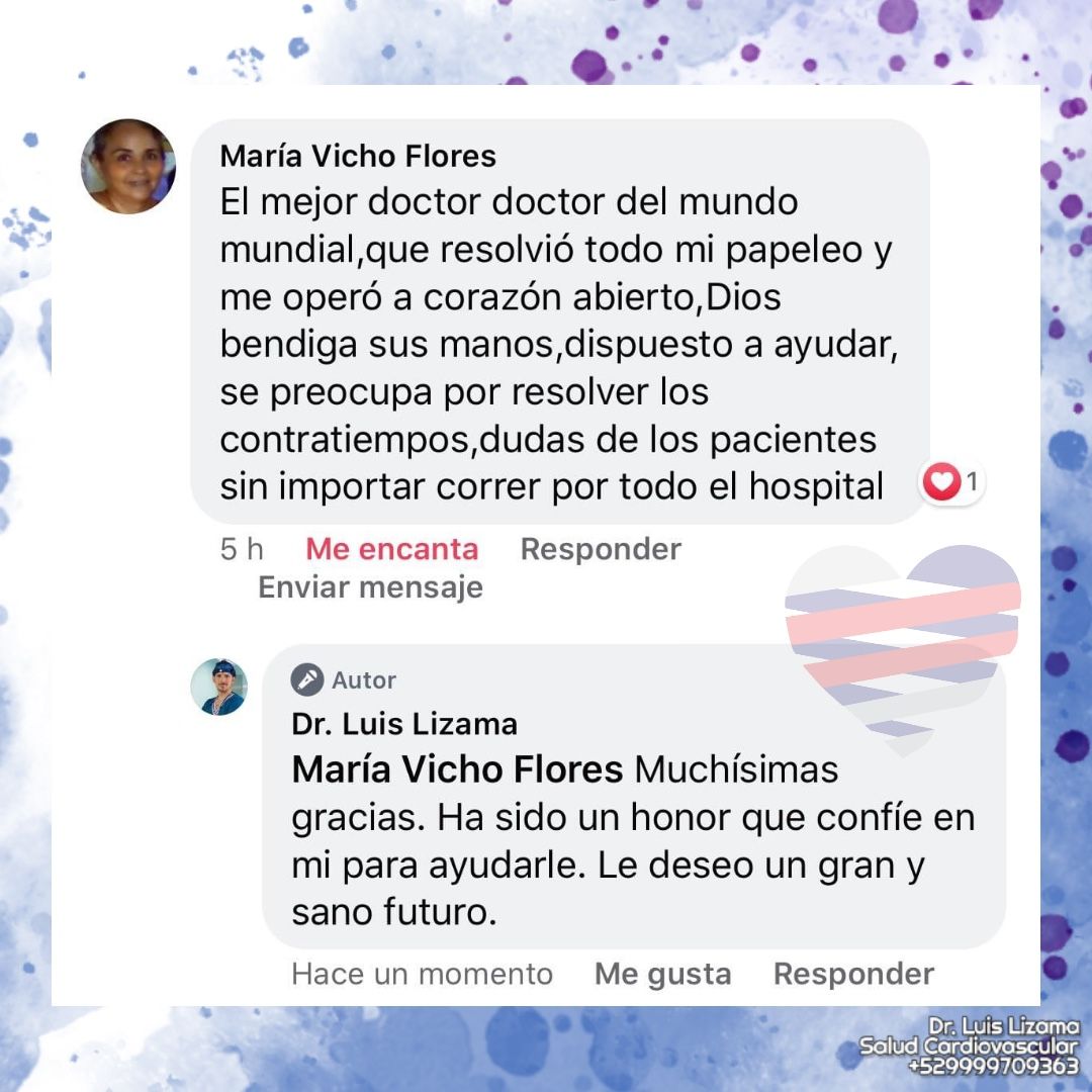 Luis Daniel Lizama Rodrí­guez-11