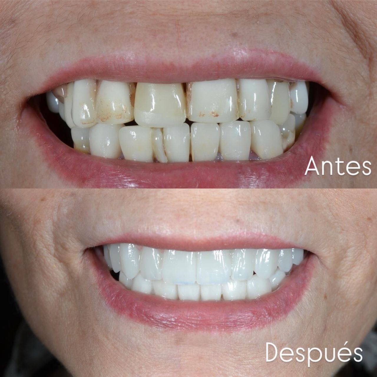 Francisco Jose Vives Serrano-34