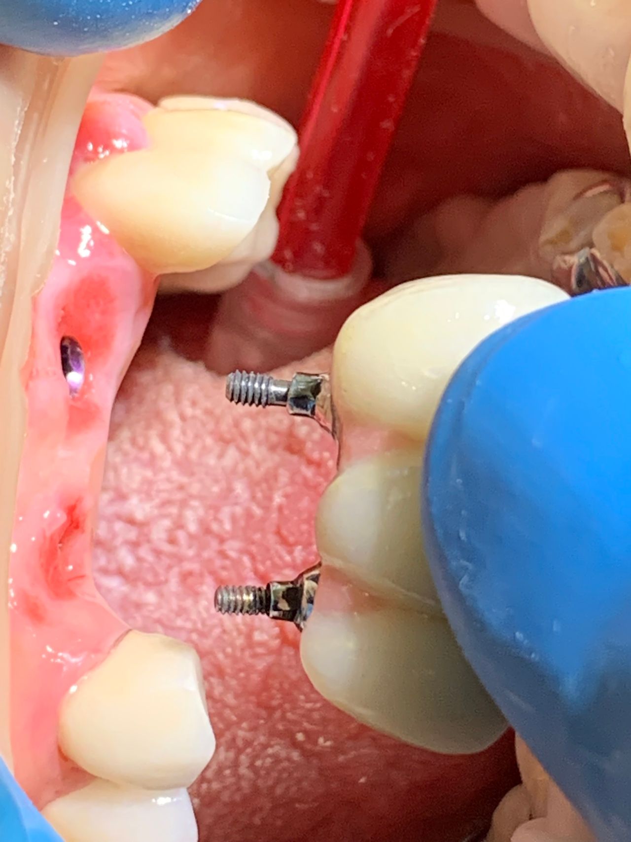 Alberto Miguel Rodriguez Soto-44