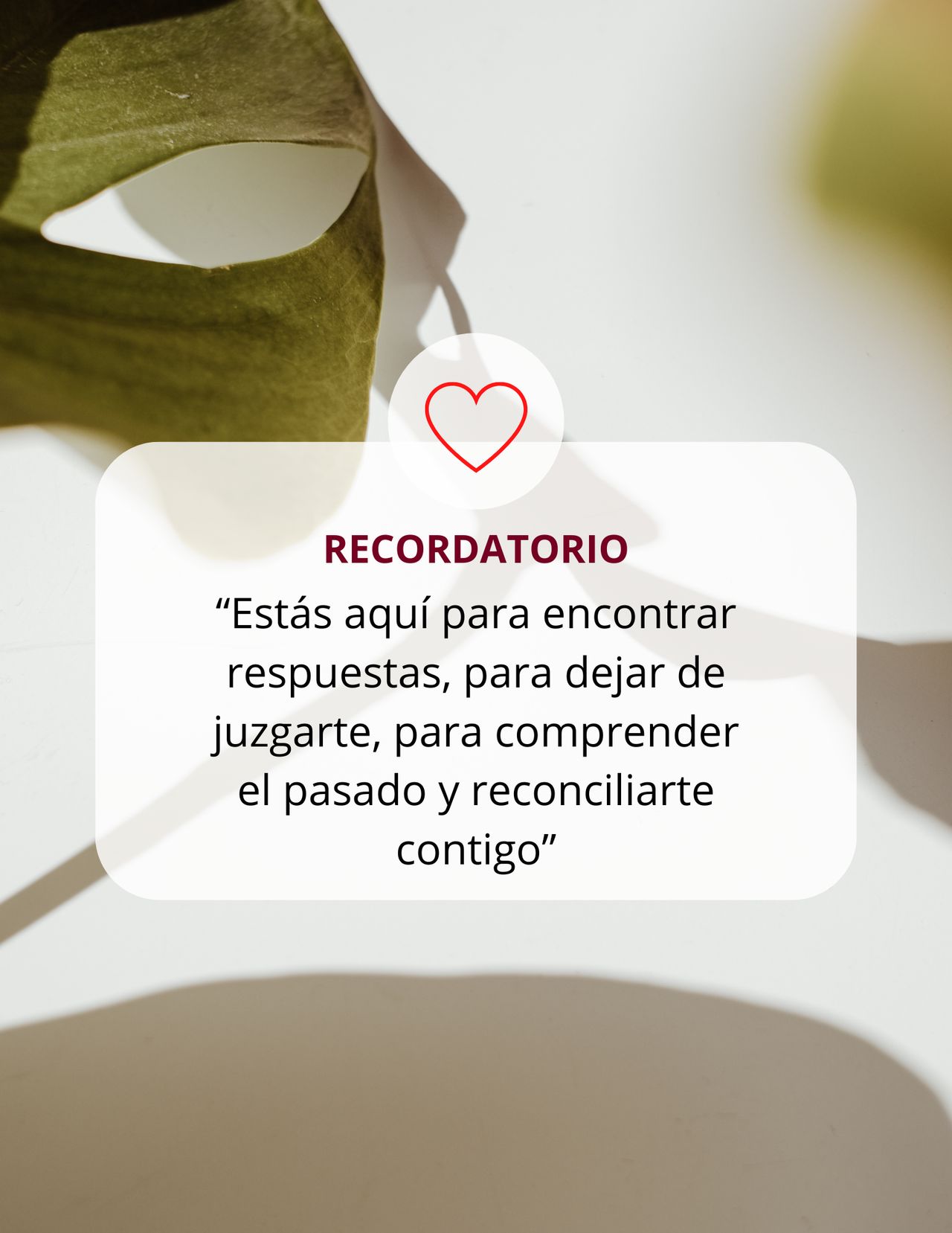 Diana Isabel Mendoza Cruz-1