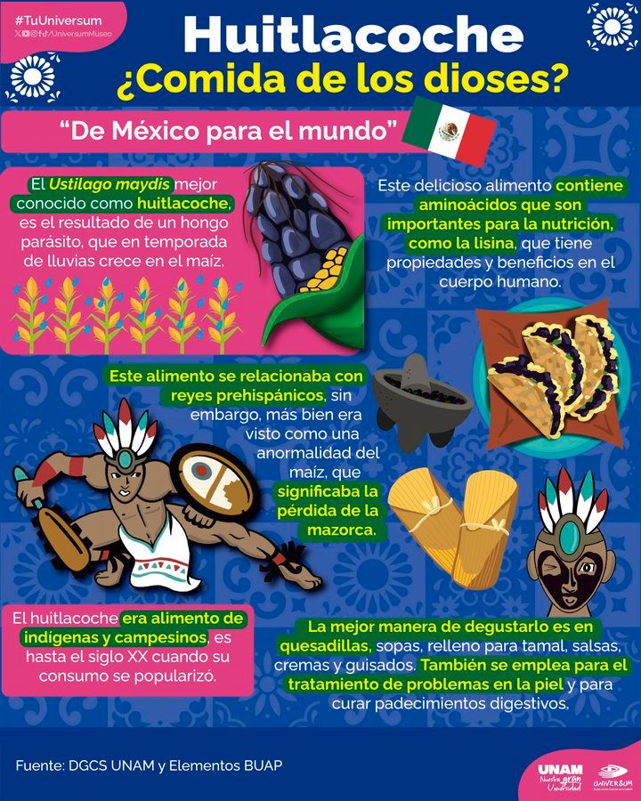 Raymundo Alejandro Cuevas Escalante-213