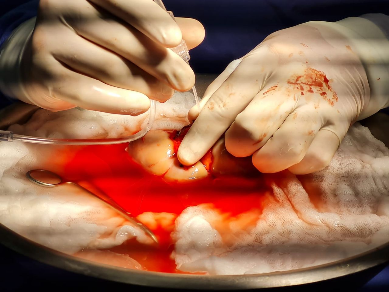 Edgar Solís Vargas-2