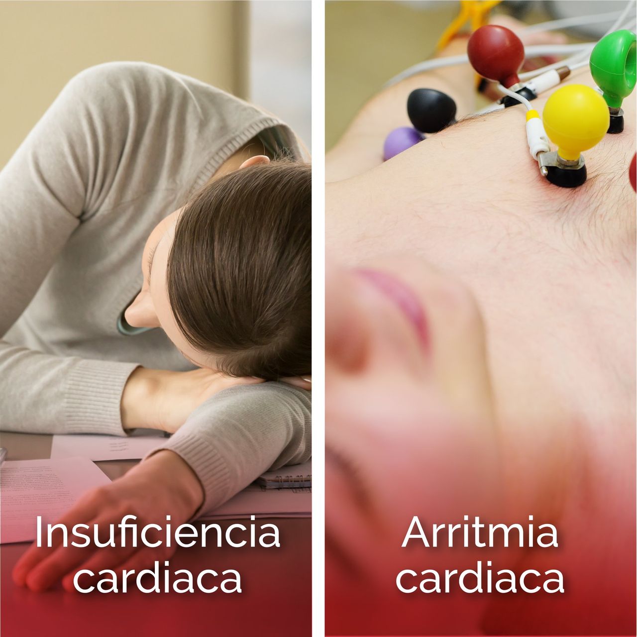 Héctor Hugo Escutia Cuevas-8