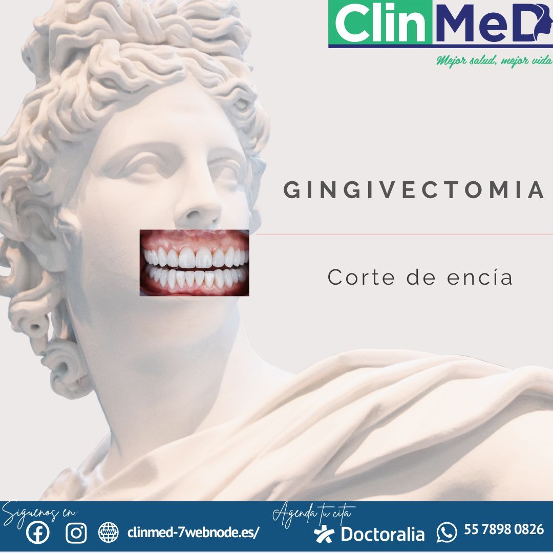 Lucero Cortés Pérez-16