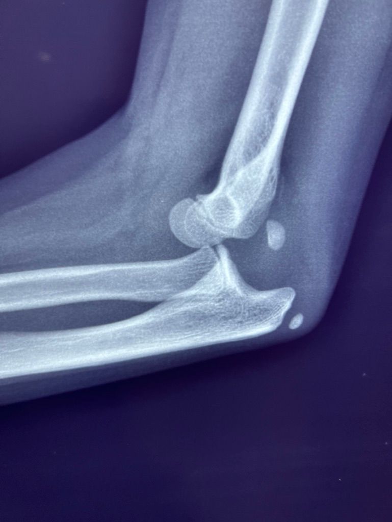 Ricardo Paz Castellanos-2