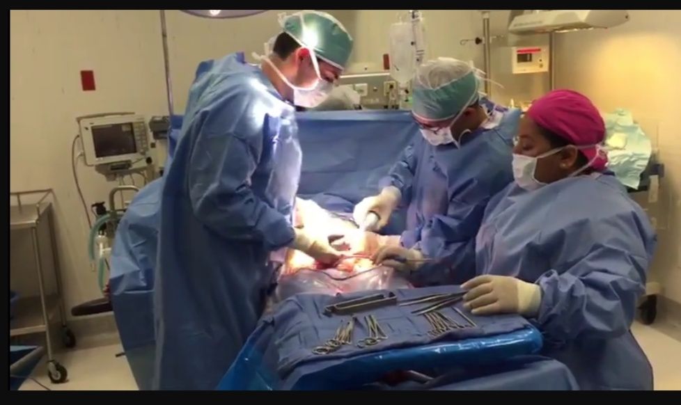 Alejandro Villaseñor Gonzalez-5