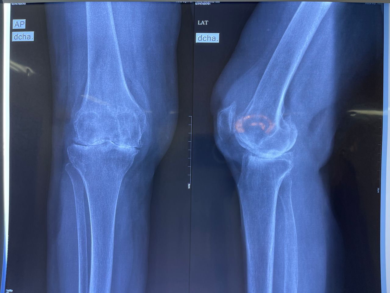 Gustavo E Ramirez Reyna-18