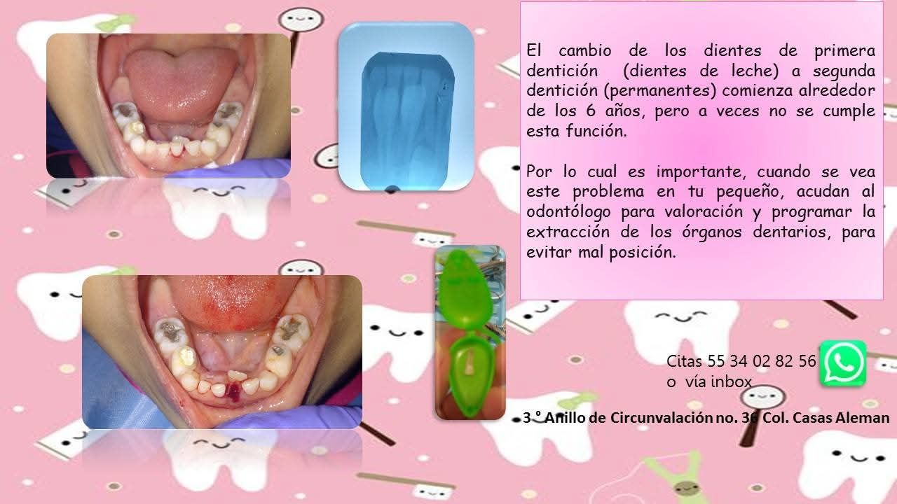 Leslie Michelle Galan Bahena-11