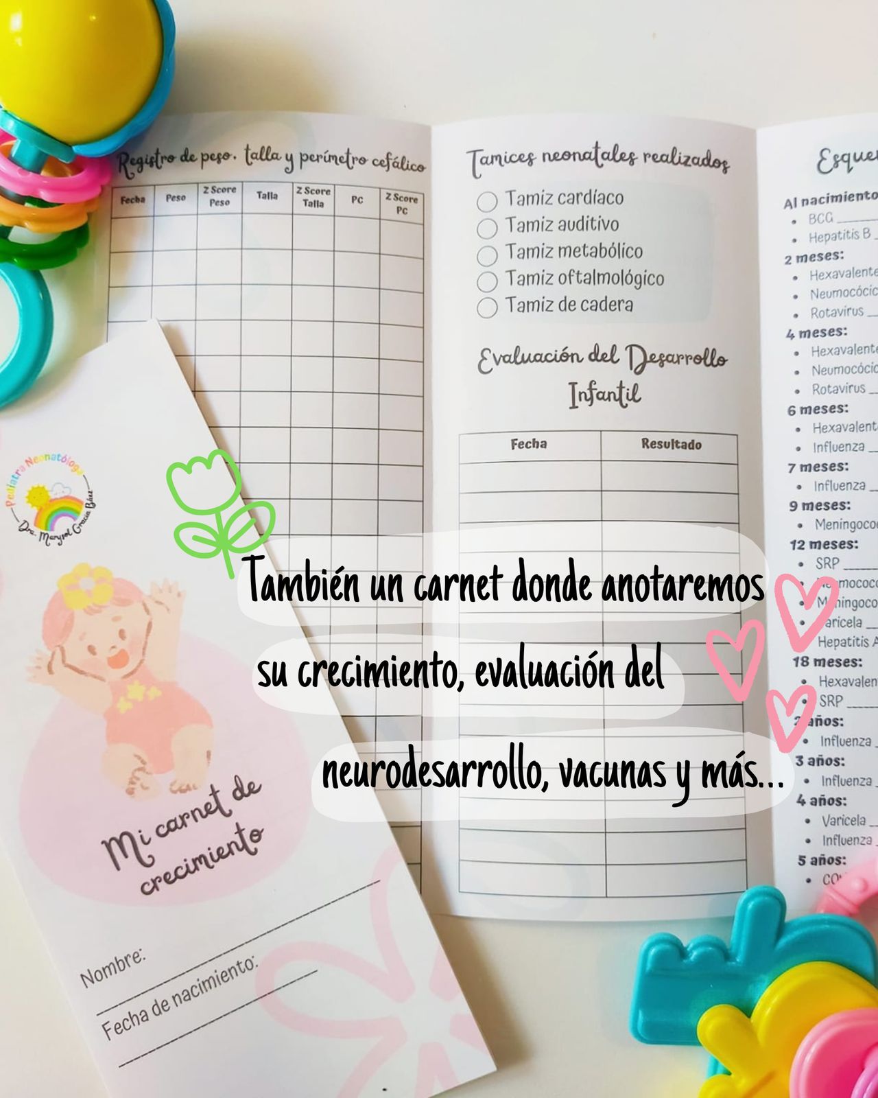 Marysol Gracia Báez-6