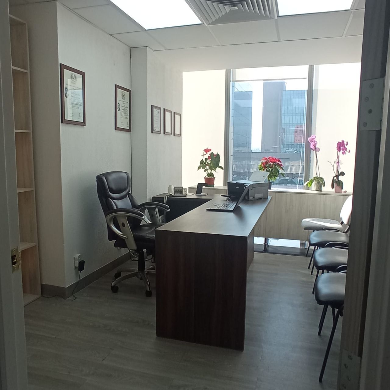 Luis Raúl López Y López-0