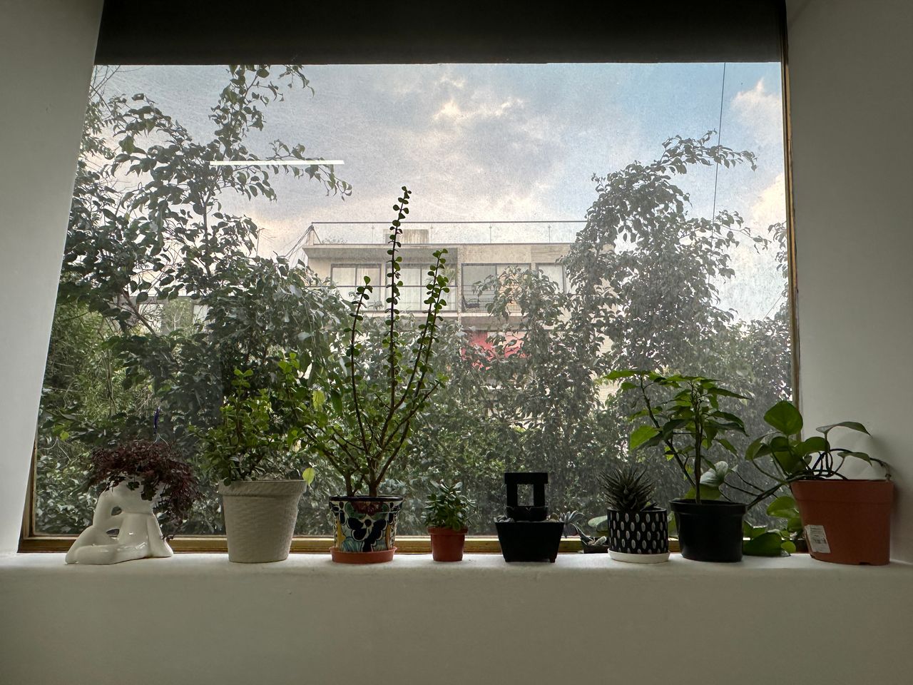 Andrés Guadalupe Guerrero Navarrete-4