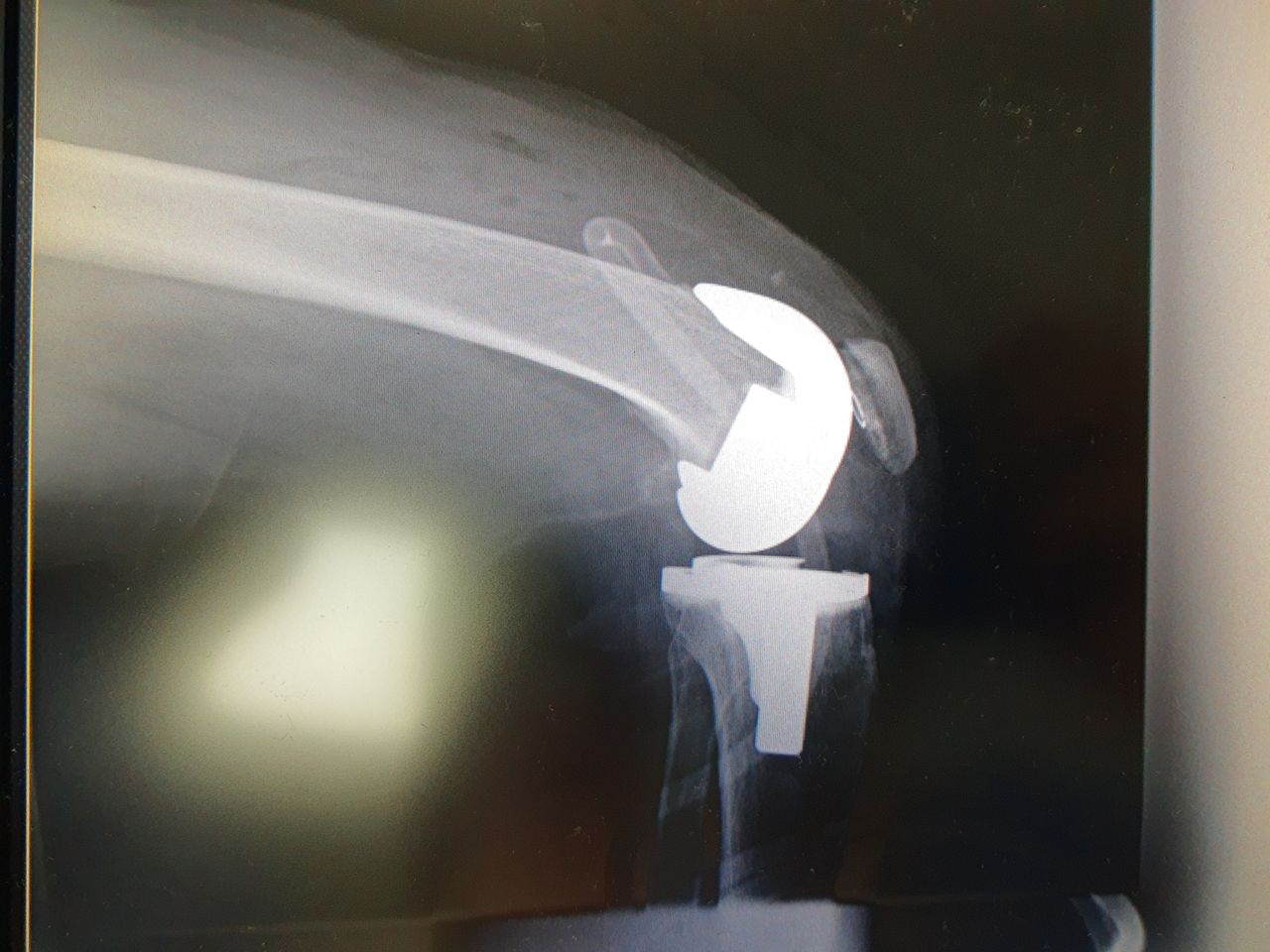 Rodrigo F. Durán Martínez-12