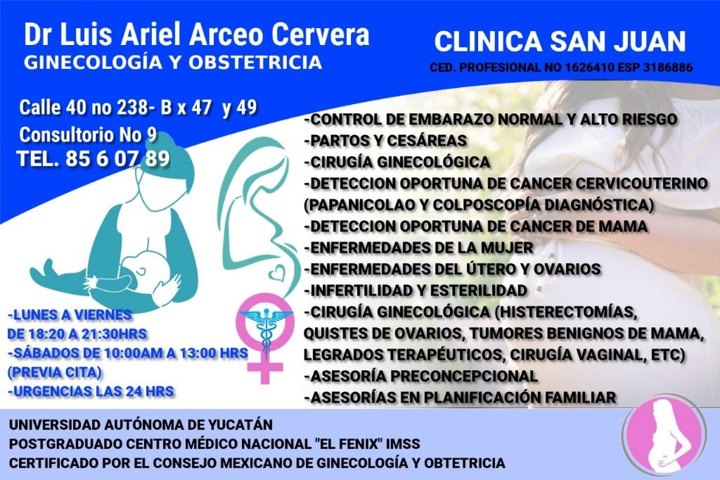 Luis Ariel Arceo Cervera-0